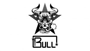株式会社BULL